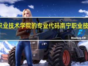 南宁职业技术学院的专业代码 南宁职业技术学院地址