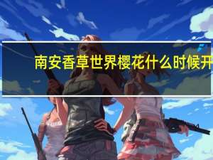 南安香草世界樱花什么时候开