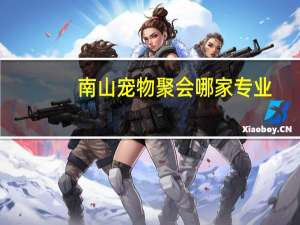 南山宠物聚会哪家专业