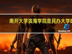 南开大学滨海学院是民办大学吗