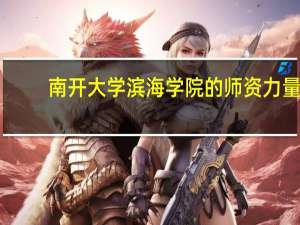南开大学滨海学院的师资力量