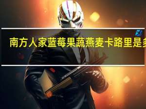 南方人家蓝莓果蔬燕麦卡路里是多少