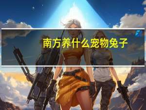 南方养什么宠物兔子