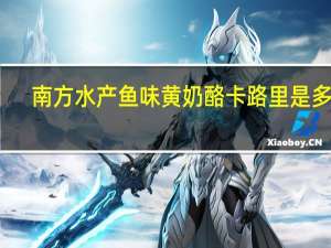 南方 水产 鱼味黄奶酪卡路里是多少