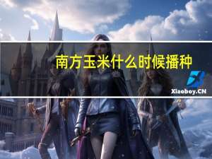南方玉米什么时候播种