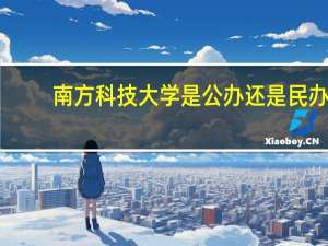 南方科技大学是公办还是民办
