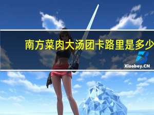 南方 菜肉大汤团卡路里是多少