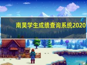 南昊学生成绩查询系统2020（南昊学生成绩查询系统）
