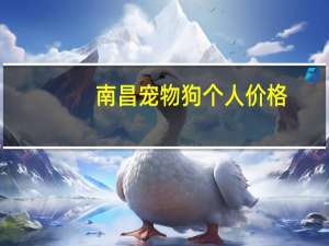 南昌宠物狗个人价格