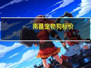 南昌宠物狗标价