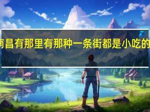 南昌有那里有那种一条街都是小吃的地方吖