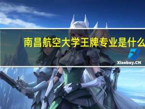 南昌航空大学王牌专业是什么