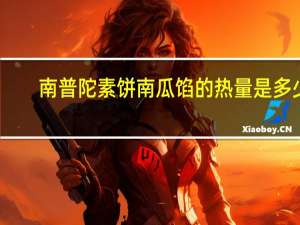 南普陀素饼南瓜馅的热量是多少