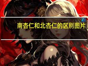 南杏仁和北杏仁的区别图片（南杏仁和北杏仁的区别）