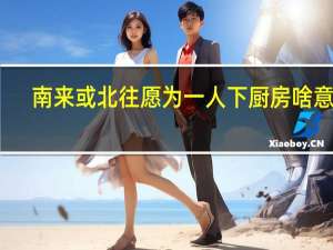 南来或北往愿为一人下厨房啥意思