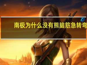 南极为什么没有熊脑筋急转弯（南极为什么没有熊）