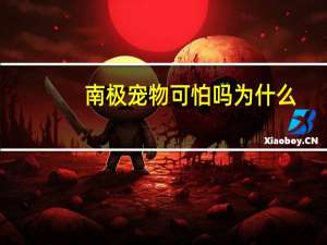 南极宠物可怕吗为什么