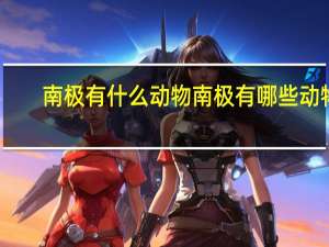 南极有什么动物 南极有哪些动物