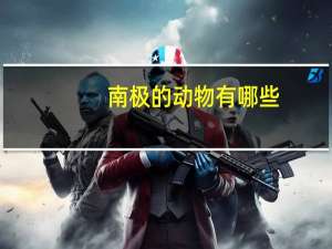 南极的动物有哪些
