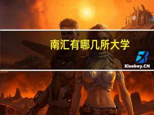 南汇有哪几所大学