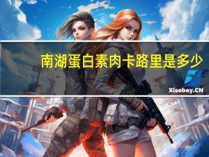 南湖蛋白素肉卡路里是多少