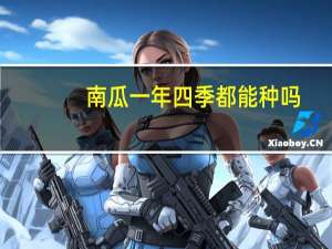 南瓜一年四季都能种吗