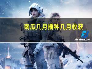 南瓜几月播种几月收获