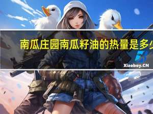南瓜庄园 南瓜籽油的热量是多少