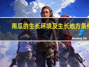 南瓜的生长环境及生长地方条件