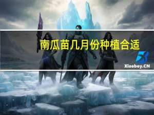 南瓜苗几月份种植合适