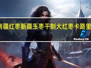 南疆红枣 新疆玉枣干制大红枣卡路里是多少