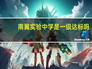 南翼实验中学是一级达标吗