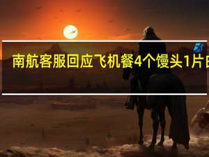 南航客服回应飞机餐4个馒头1片白菜：不同航线不一样白菜是防止馒头烤糊