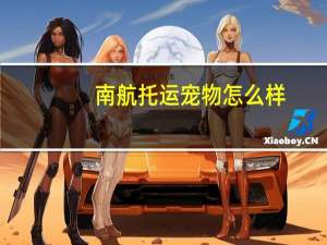 南航托运宠物怎么样