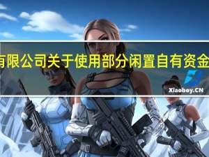 南通海星电子股份有限公司关于使用部分闲置自有资金进行现金管理的进展公告