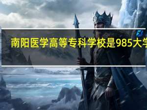 南阳医学高等专科学校是985大学吗
