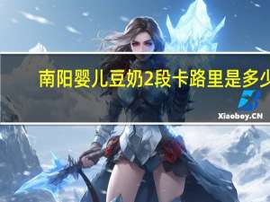 南阳 婴儿豆奶 2段卡路里是多少