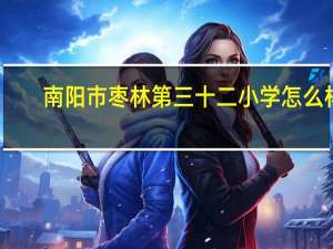 南阳市枣林第三十二小学怎么样