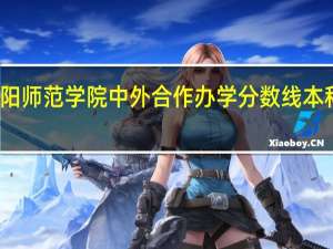 南阳师范学院中外合作办学分数线本科二批是