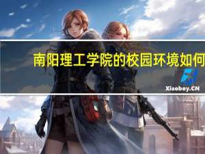 南阳理工学院的校园环境如何
