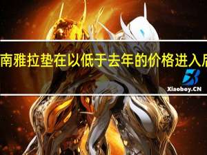 南雅拉垫在以低于去年的价格进入后出售