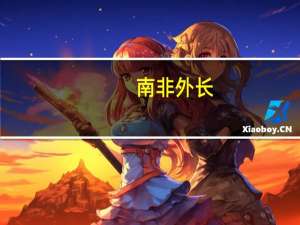 南非外长：金砖国家成员国间交易应使用除美元外其他货币