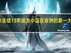南非连续13年成为中国在非洲的第一大贸易伙伴