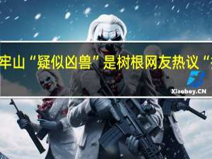 博主回应哀牢山“疑似凶兽”是树根 网友热议“探险恐怖片”成真？