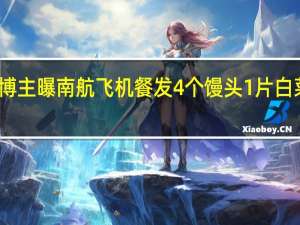 博主曝南航飞机餐发4个馒头1片白菜 客服：白菜是为了防馒头烤糊