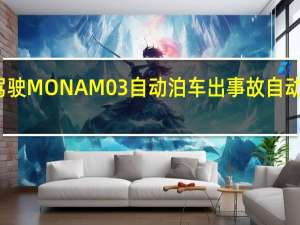 博主驾驶MONA M03自动泊车出事故 自动功能引质疑