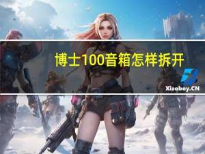 博士100音箱怎样拆开