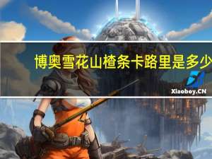 博奥 雪花山楂条卡路里是多少