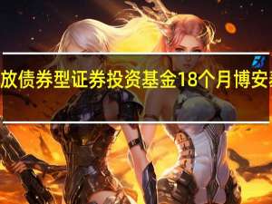博安泰定期开放债券型证券投资基金18个月博安泰开放债券A 18个月