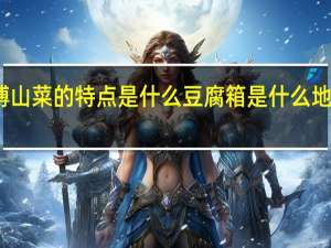 博山菜的特点是什么 豆腐箱是什么地方的菜